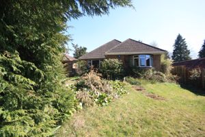 Photo 21- click for photo gallery